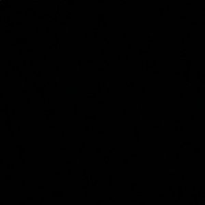 Meet your Posher, Roni